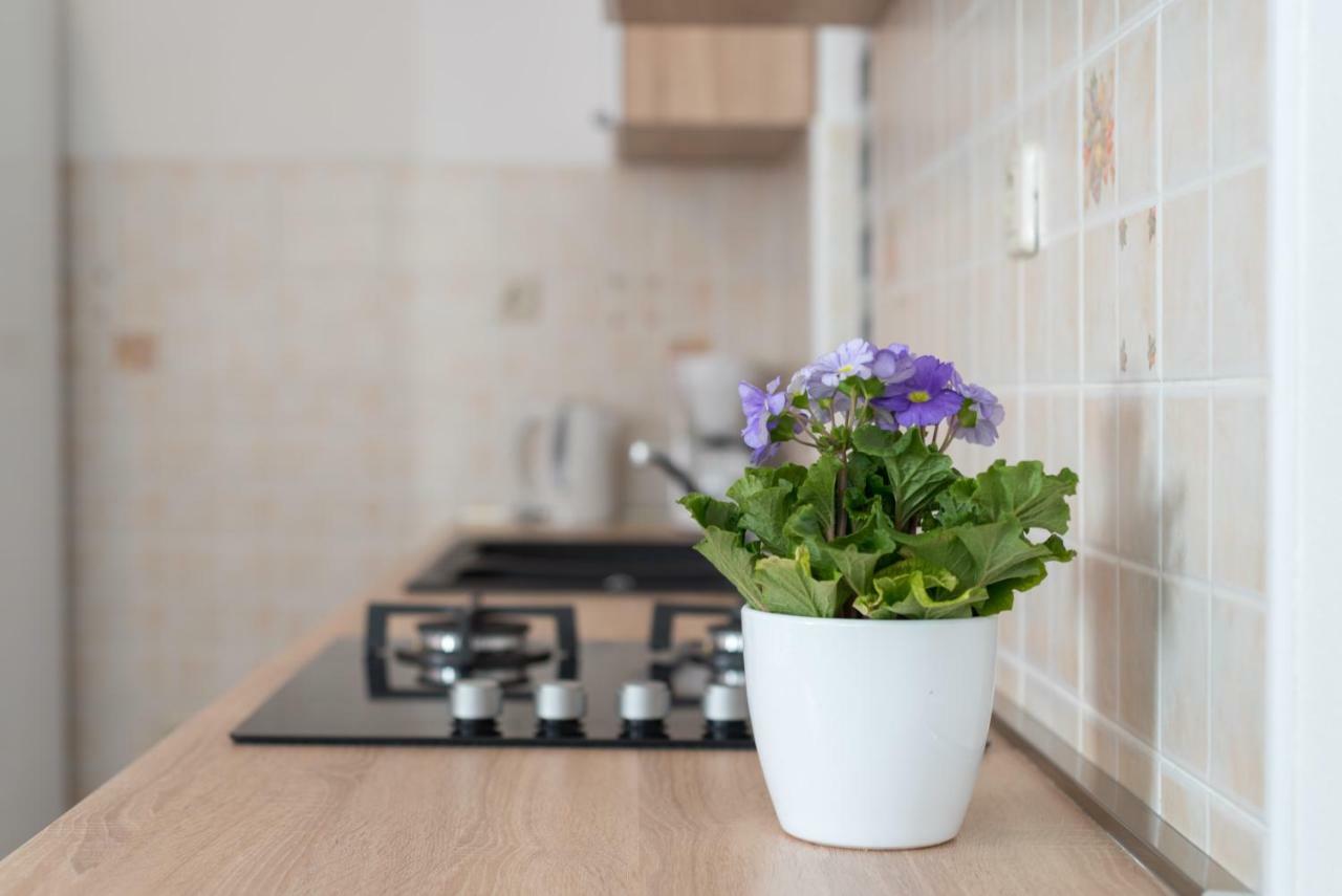 Luxury Apartment With Garden Jacuzzi And Wellness Τρογκίρ Εξωτερικό φωτογραφία